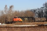 CN 2918